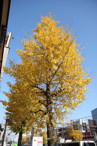 東京的街道2 東京的街道2
