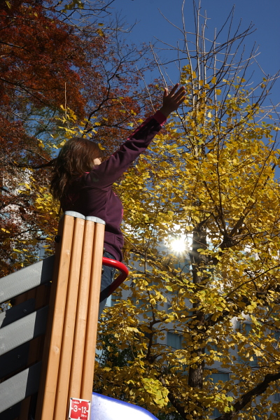東京某個市區小公園 東京某個市區小公園